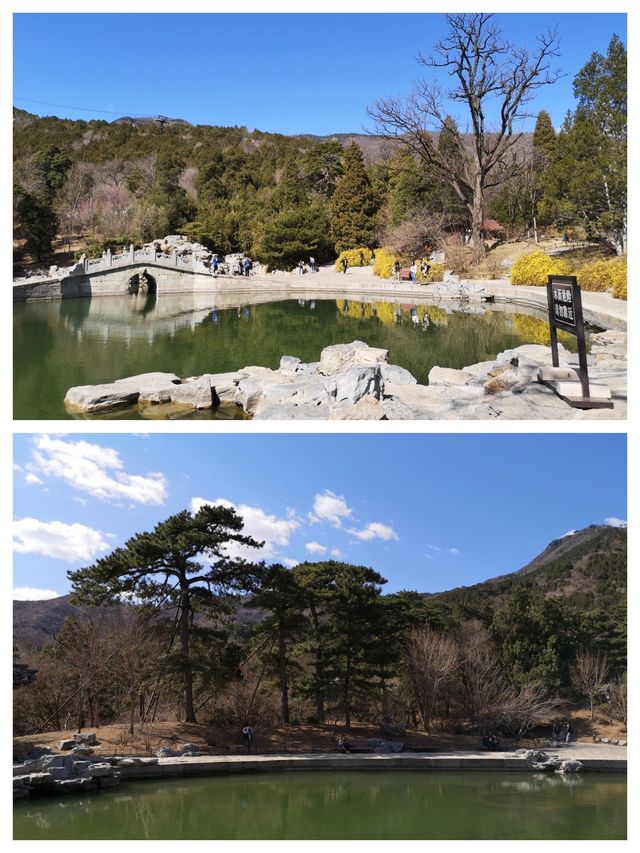 北京賞桃花，春遊香山公園