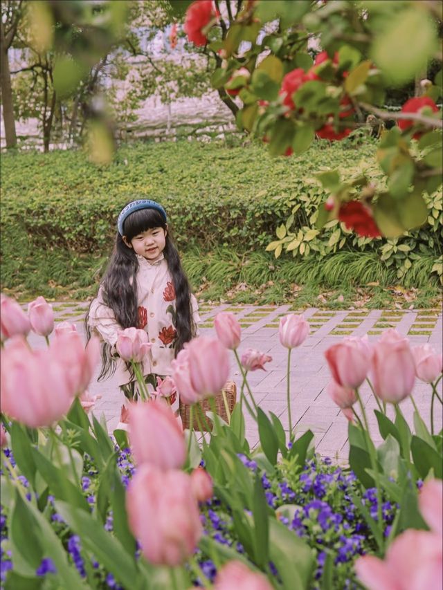 3月中旬不要錯過上海市區的這片鬱金香花海