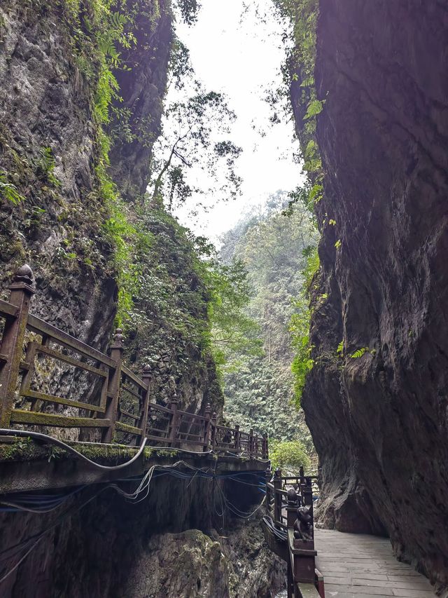 峨眉山-樂山大佛-都江堰親子遊 超實用攻略來襲