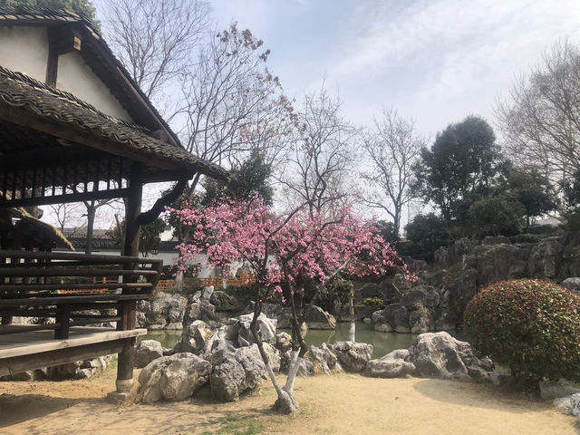 南京｜胡家花園裡的金陵春天