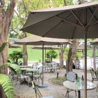 🍃Le Jardin Restaurant為了這面窗景也值得飛趟新加坡