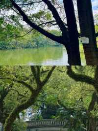 真羨慕佛山人！竟然藏著這麼美的公園不說