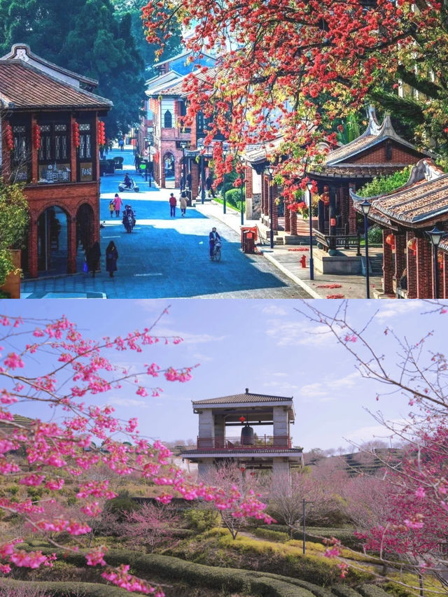 福建春季賞花10大精選路線上線！收藏！
