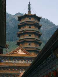 禪源寺｜我願稱之為杭州最美寺院沒有之一！