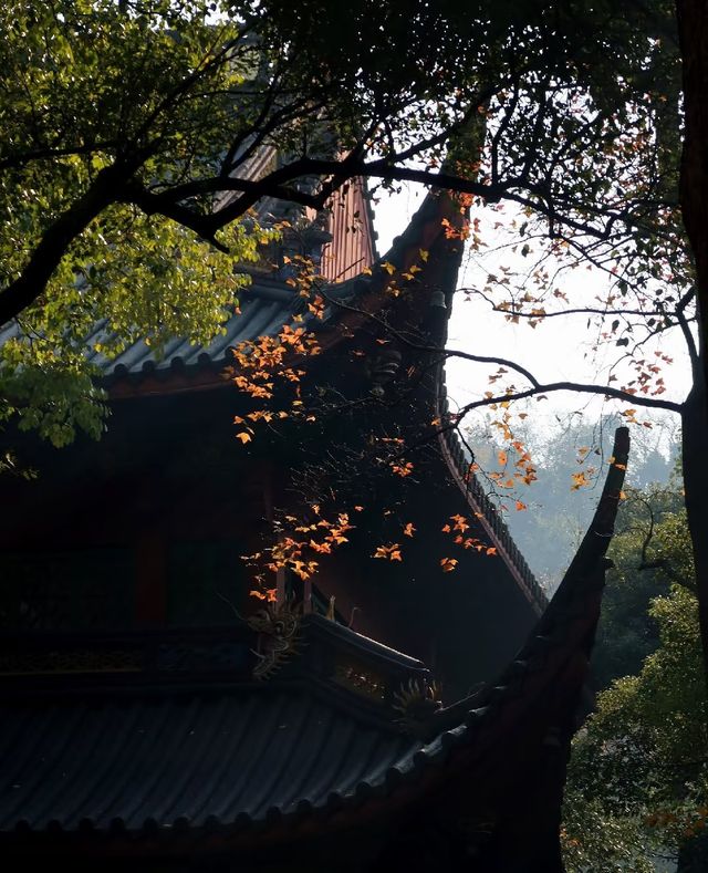 別再瞎逛啦，靈隱寺超詳細路線！！！
