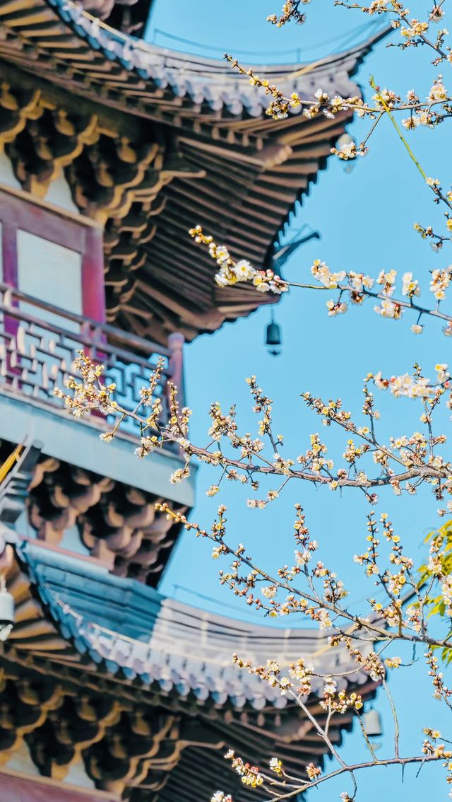 海鹽，天寧寺，