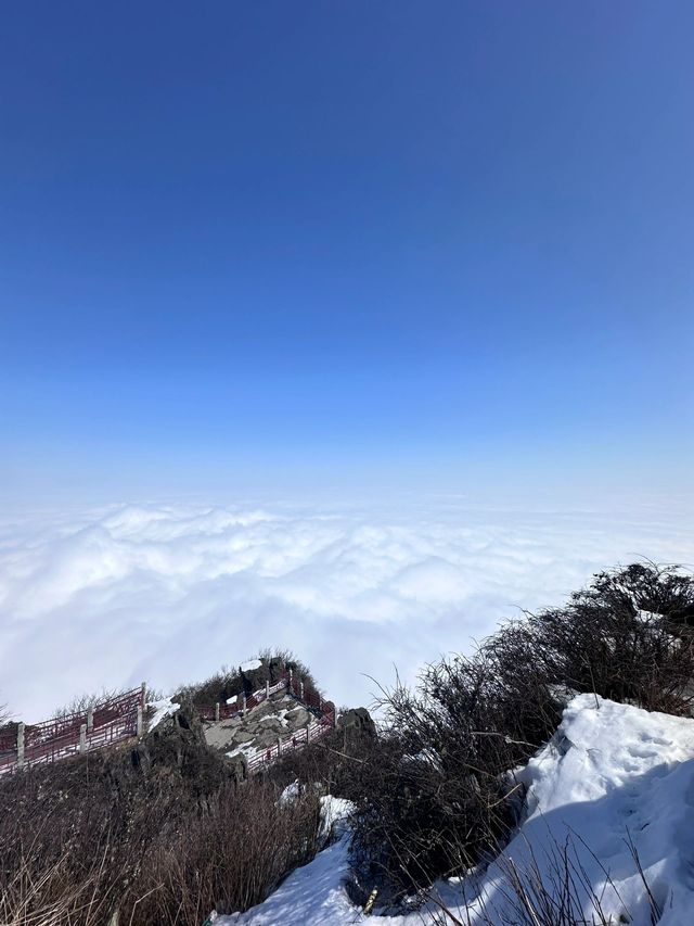 成都-九寨溝帶娃遊 輕鬆玩轉全攻略必備收藏