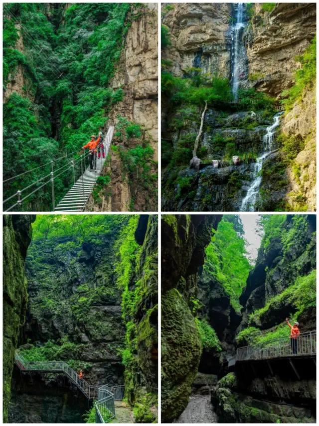 Canyons × Tea Mountains | A Guide to Northern and Southern China