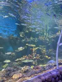 灞橋海洋公園｜體驗絲綢之路上的海洋世界