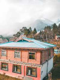 林芝桃花之旅｜來嘎瑪穿藏服釀桃花蜜