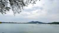 春日的玄武湖，與紫峰共舞