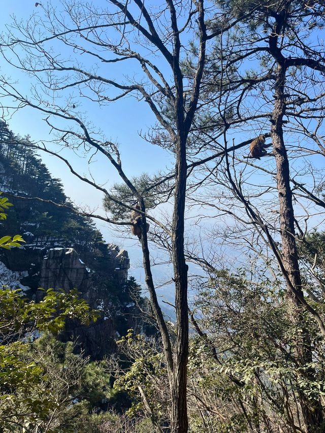 5日暢遊九江-景德鎮-上饒超詳細行程攻略