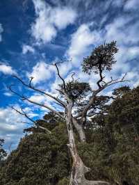 五指山2天遊 玩轉全景不留遺憾