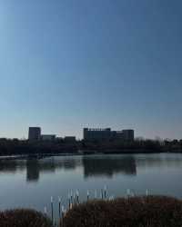 闖進現實版莫奈花園，邂逅高陽市的浪漫