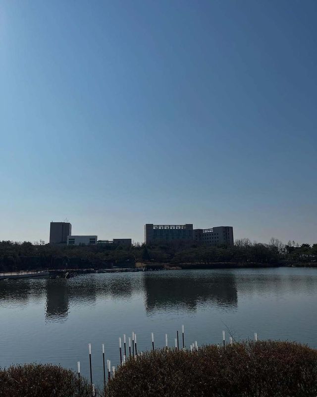 闖進現實版莫奈花園，邂逅高陽市的浪漫