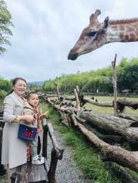 湖州長頸鹿莊園：和寶貝共赴一場長頸鹿早餐奇遇