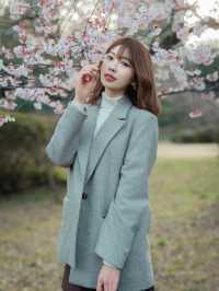 東京櫻花拍攝聖地大公開🌸人少出片超絕