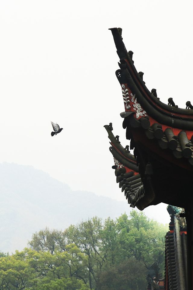 寧波尋春，免費又幽靜的天童寺簡直不要太美