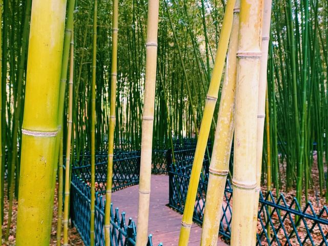 Purple Bamboo Park in Beijing: Pure Tranquility Hideout