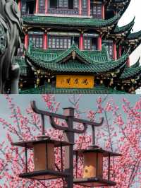 來鴻恩寺，邂逅花與禪意的浪漫約定