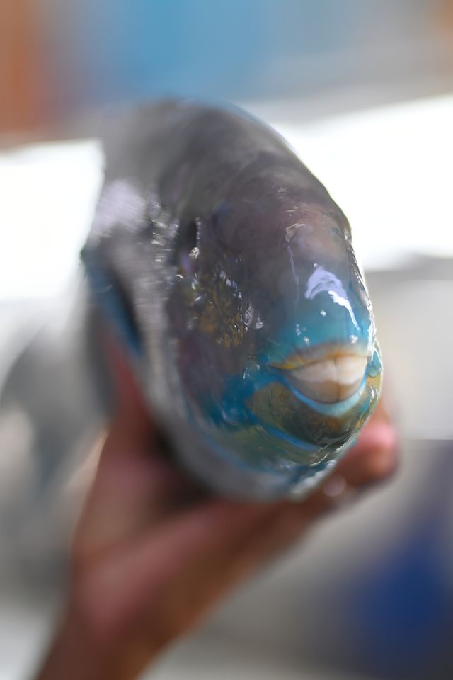 在紅海魚市場盡情享受味蕾盛宴——吉達中央海鮮市場