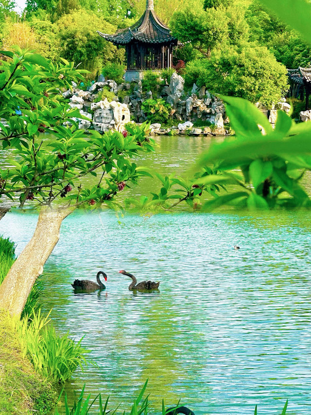 揚州瘦西湖：詩畫中的旅行指南