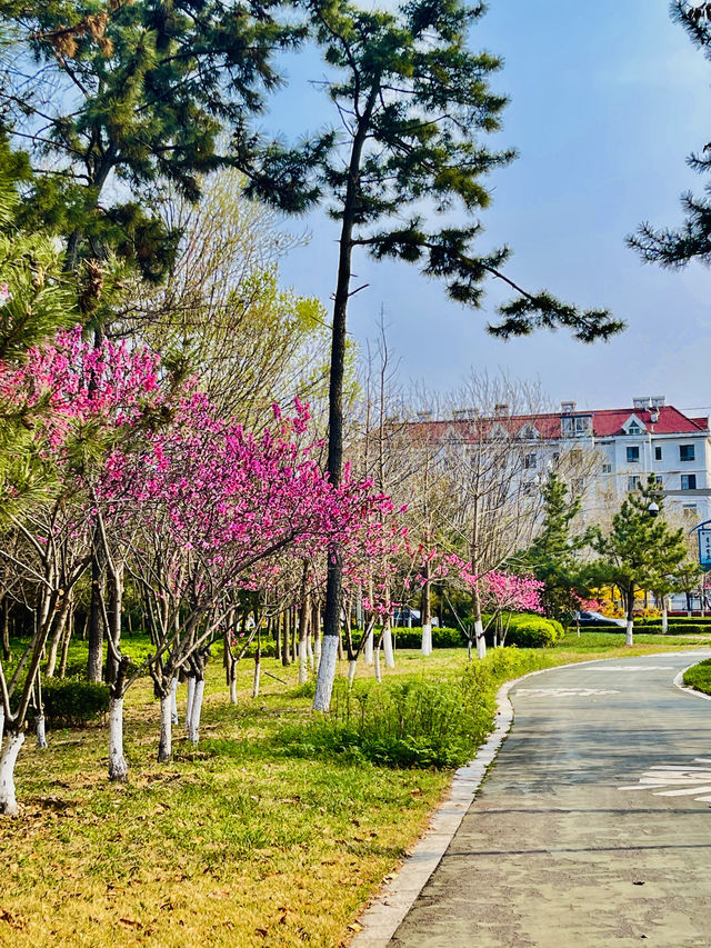 中國·山東煙台