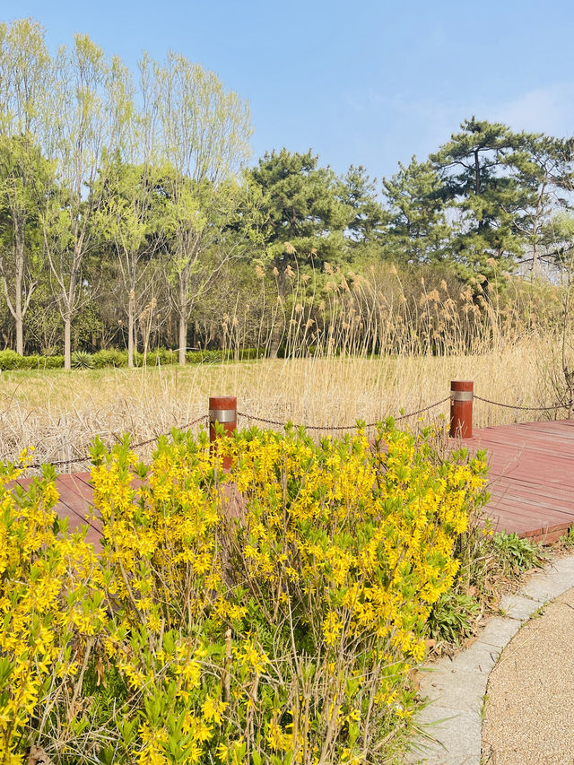 中國·山東煙台