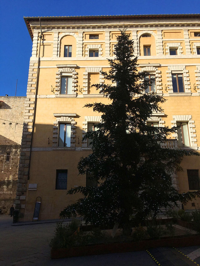 🇮🇹錫耶納「錫耶納市政廳」