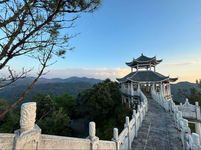 🌿 真實無濾鏡｜石門國家森林公園實況速報  