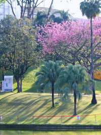 【雲台花園開箱日記｜十蚊港紙帶我入夢境，啲花靚到好唔真實】