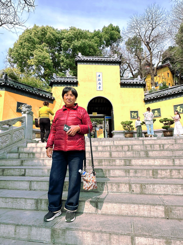 南京春日櫻花限定兩天一夜賞櫻逛吃全攻略來啦！
