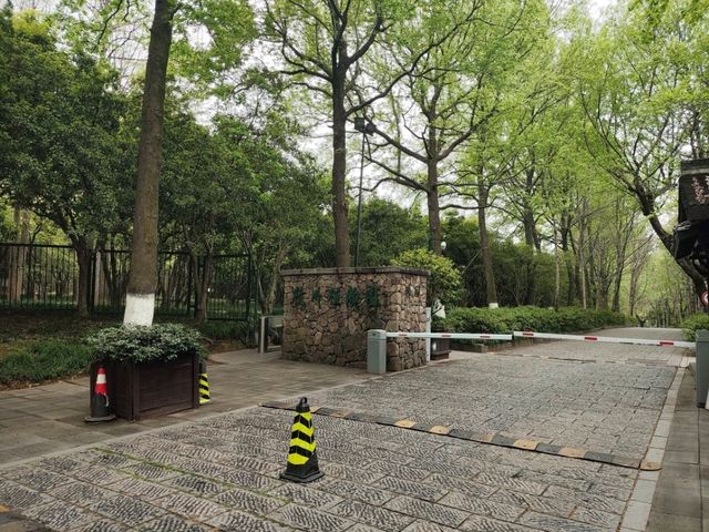 杭州植物園遊記