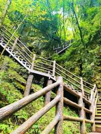 曾家山景區 | 走進天然氧吧，開啟清新治癒之旅
