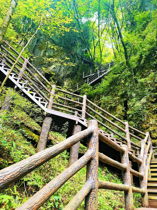 曾家山景區 | 走進天然氧吧，開啟清新治癒之旅
