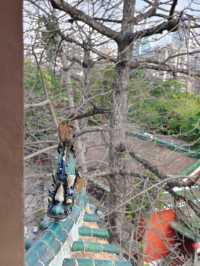 廣州博物館‖登上鎮海樓，飽覽千年風華