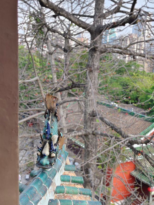 廣州博物館‖登上鎮海樓，飽覽千年風華