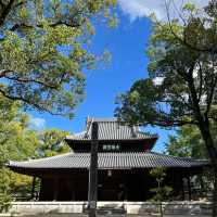 🌿【福岡聖福寺｜鬧市中靜藏千年的唐宋遺風】