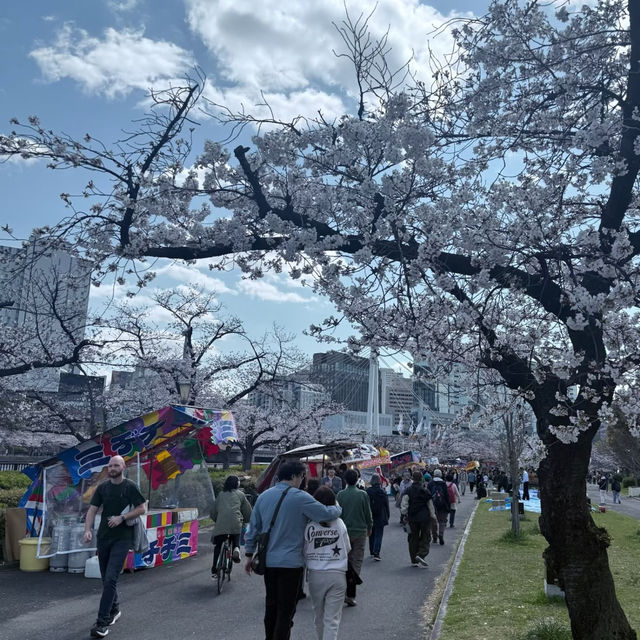 🌸大阪雙城記｜在天守閣賞櫻，到心齋橋撒野🌸