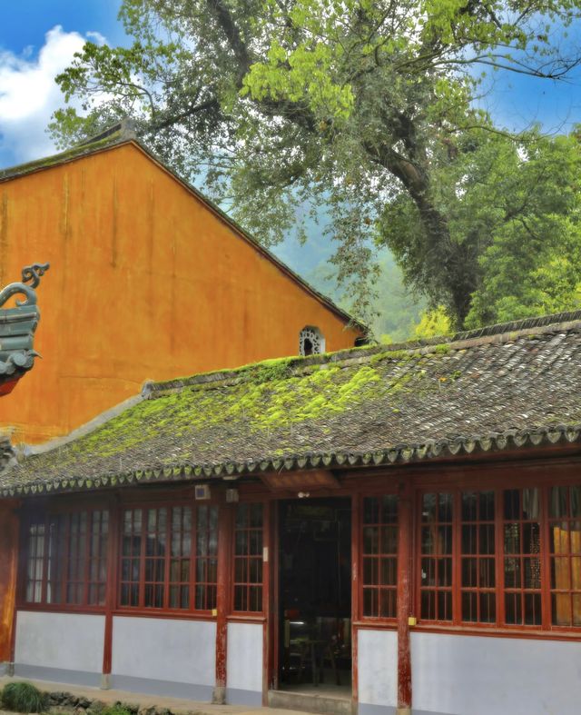 對天台山失去所有力氣和手段