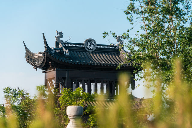 【臨清東宛園｜一夢入畫，水墨漕河醒千年】