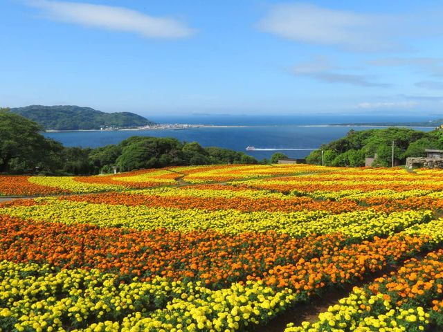福岡能古島：四季花海×絕景離島秘境