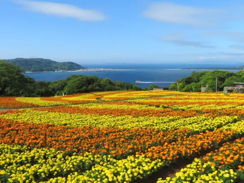 福岡能古島:四季の花畑×絶景離島の秘境