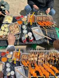 青甘深度遊越野四人團全攻略