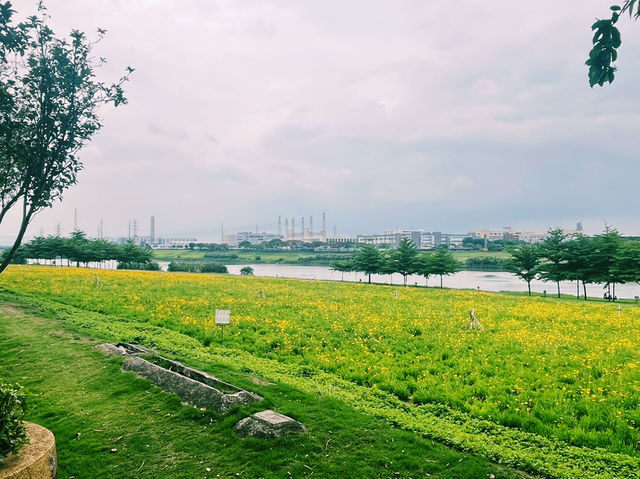 廣東省佛山市三水一個公園：花海生態公園，適合觀光旅遊、度假休閒等！