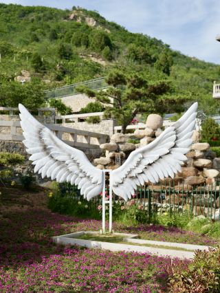 지난주변 여행｜장칭 오봉산의 체리가 익었어요!