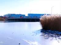 East Lake (东湖) / Dongli Lake Area