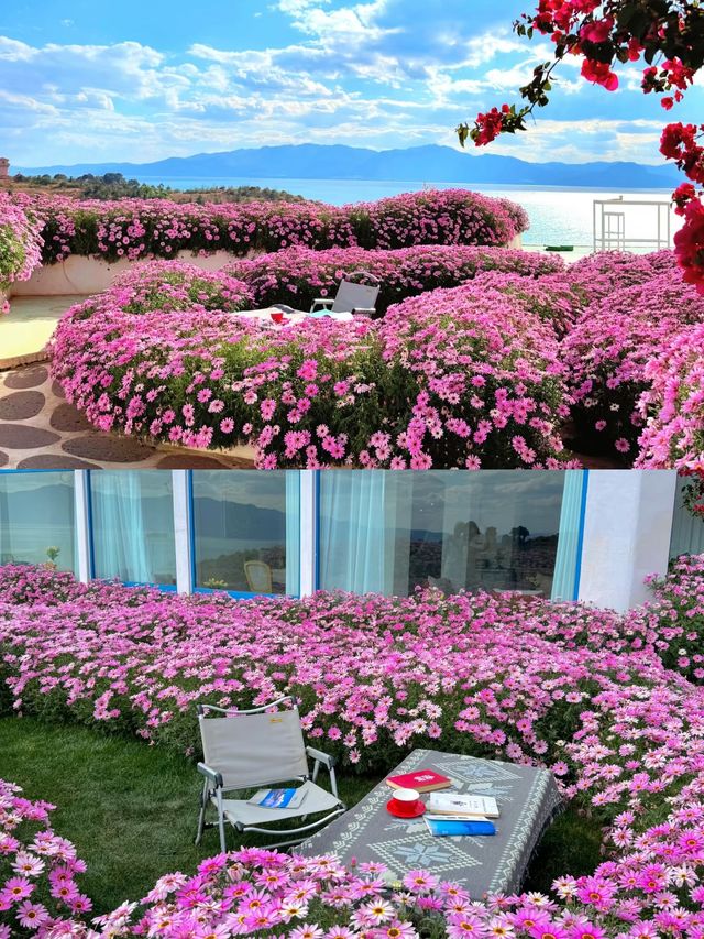 撫仙湖｜太美啦 全面撫仙湖旅遊攻略都在這兒了