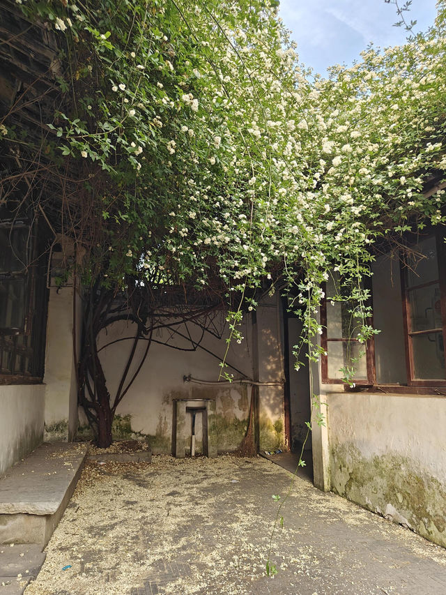南通旅遊