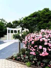 東京芝公園超詳細交通攻略，東京塔最佳打卡地 
